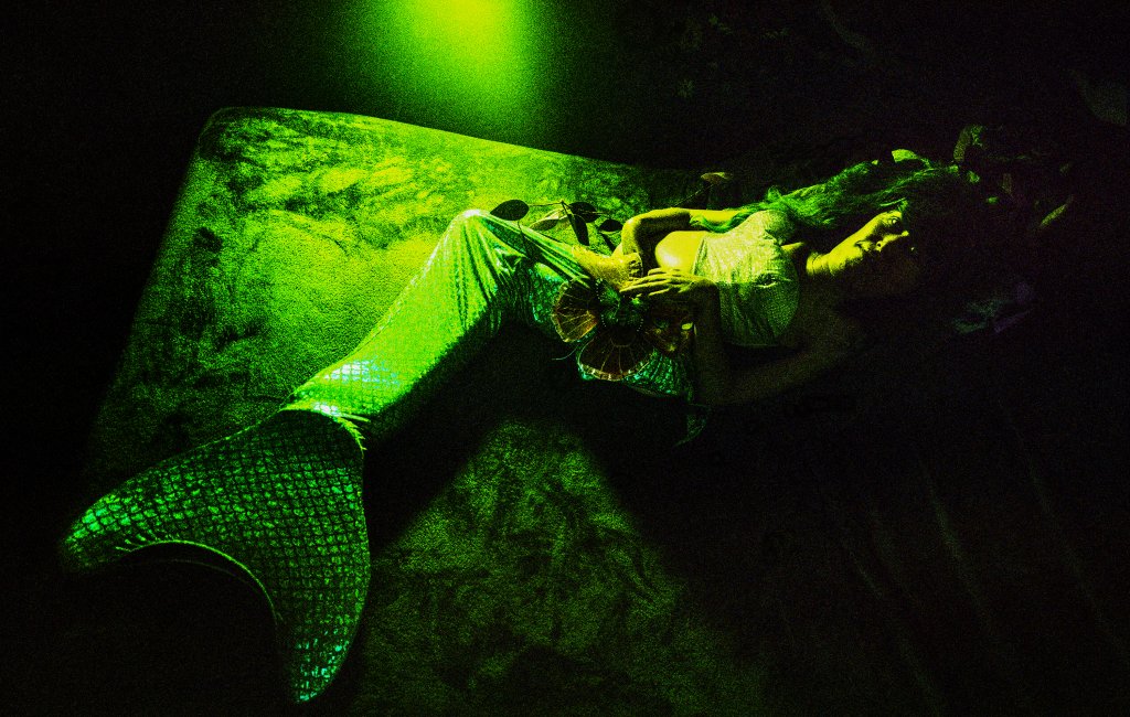 Revive: The Modern Muse